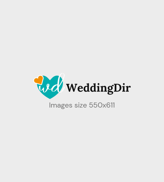 Wedding Infra Listing Category Drone Camera