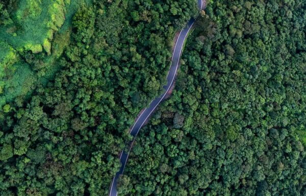 Dronemonte – Drone Pilot Gallery 1