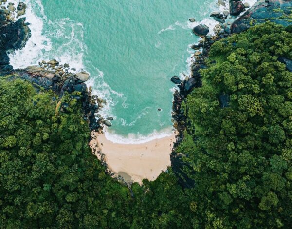 Moments To Memories Listing Category Dronemonte – Drone Pilot