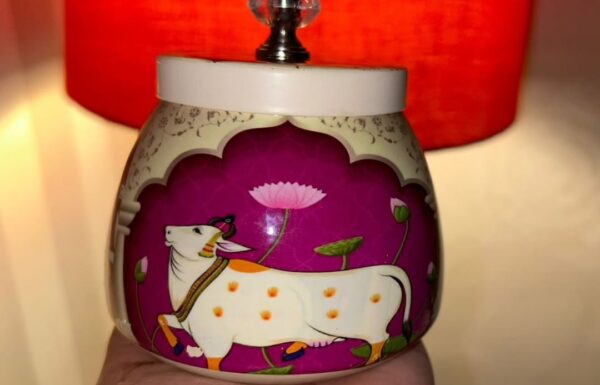 Sanya’s Dream Decor🌸 Gallery 10