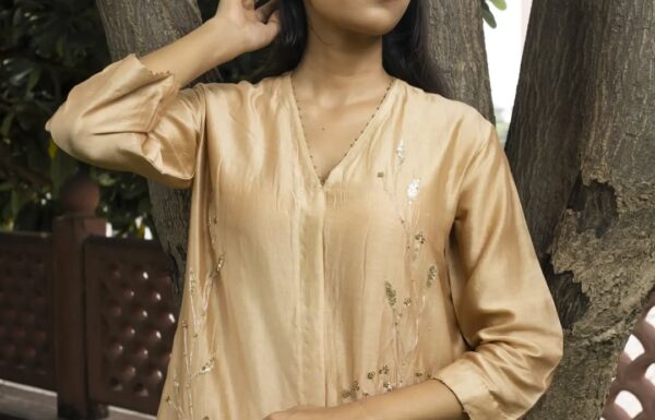 Pranei – Premium ethnic wear brand Gallery 11